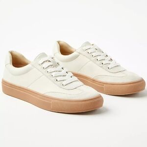 Loft Varsity Lace Up Sneakers
